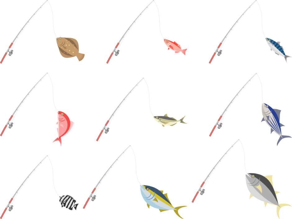 魚釣りで釣れる色々な魚